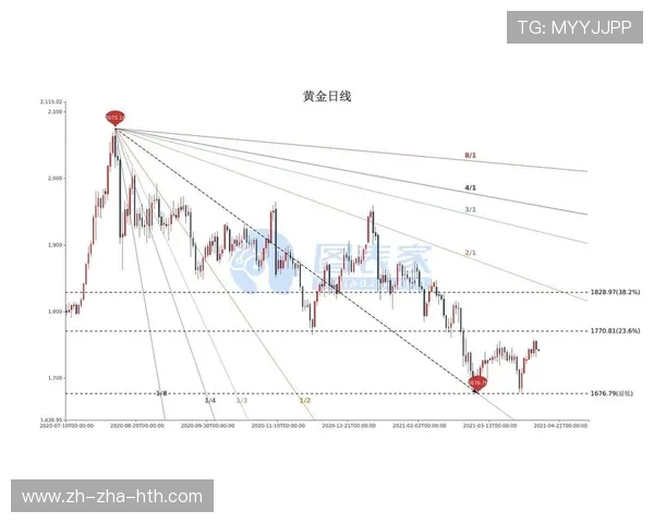 福建浔兴股份对阵焦点战局全面解析与未来走势分析
